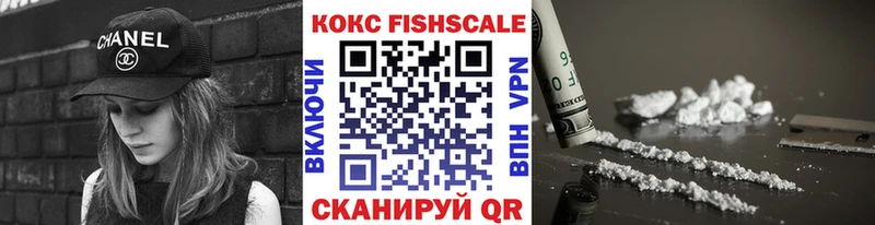 COCAIN Fish Scale  MEGA ссылки  Нижнеудинск 