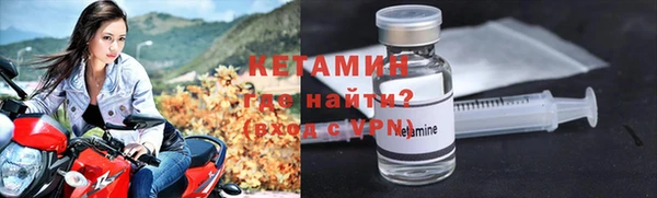 дживик Няндома
