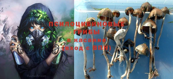 каннабис Аркадак