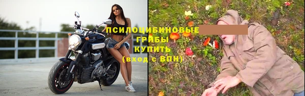 не бодяженный Арсеньев